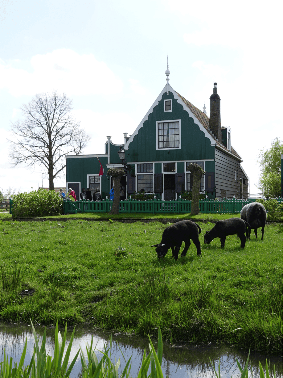 Zaanse Schans, Netherlands